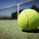 Imagen para el artículo titulado Por qué siempre deberías llevar una pelota de tenis en tu maleta de mano cuando salgas de viaje